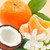 Mandarin Coconut Fragrance Oil - Image