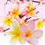 Puakenikeni Hawaiian Flower Fragrance Oil - Image