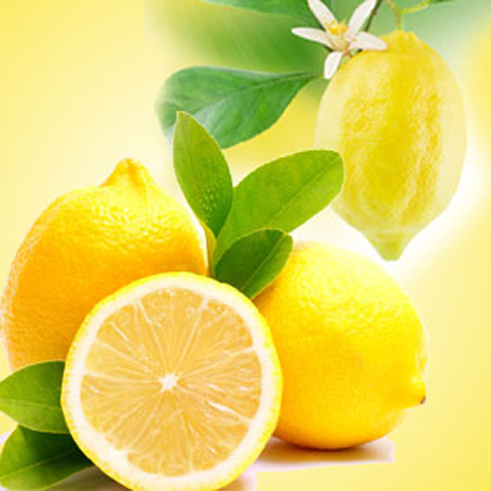 Lemon Fragrance Oil Nature's Garden Candles