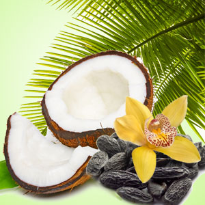 NG Exotic Coconut Type Fragrance Oil Nature's Garden Candles
