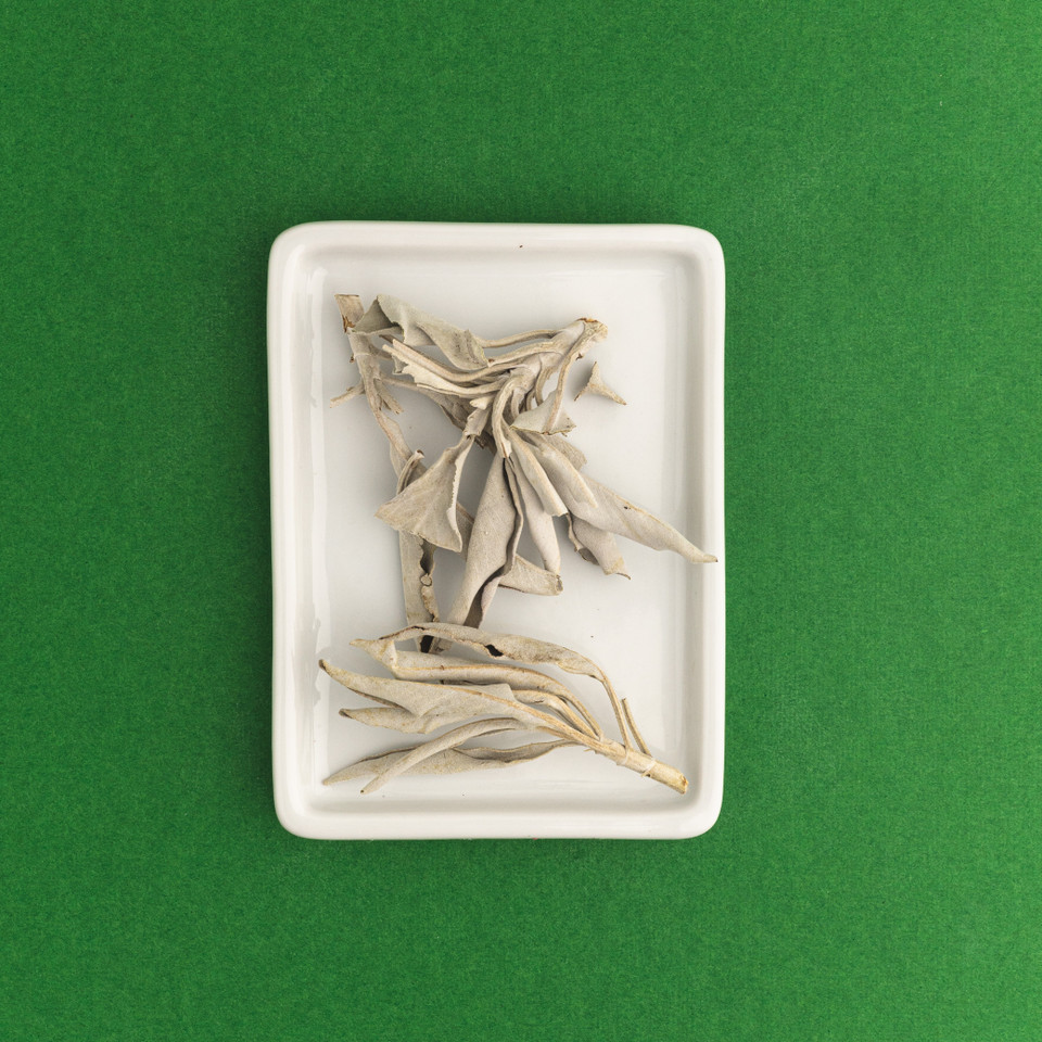 Dried White Sage Incense Leaves Nature's Garden