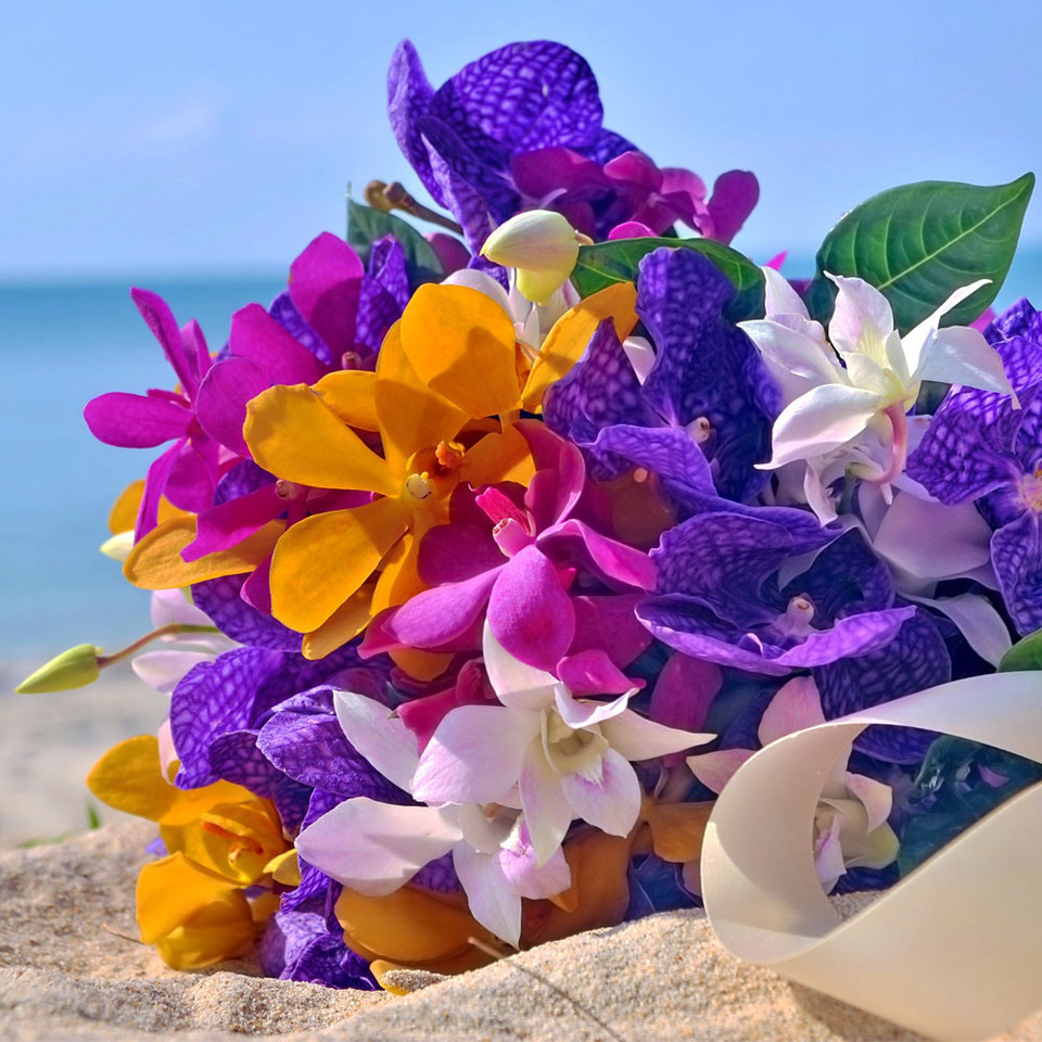 Island Petals Fragrance Oil Nature's Garden Candles