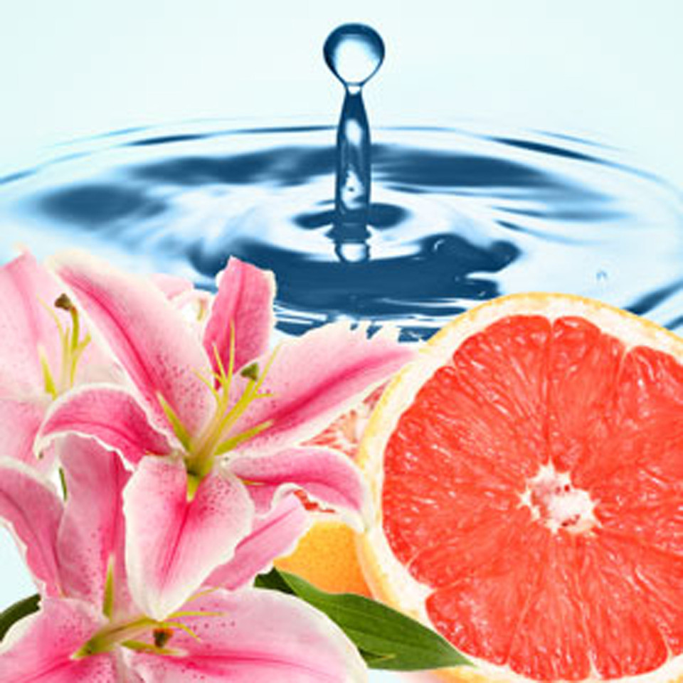 Light Blue MEN Type Fragrance Oil Nature's Garden Candles