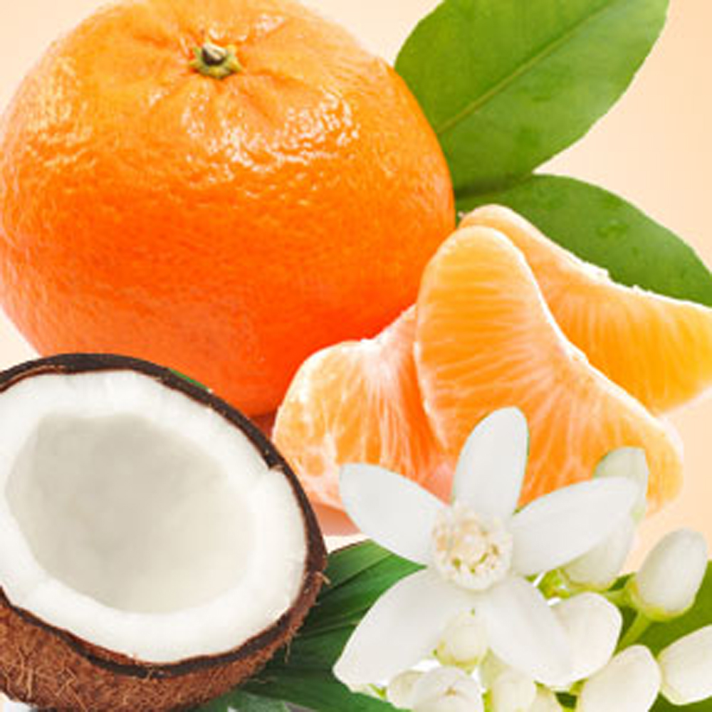 Coconut Craziness Fragrance Oil