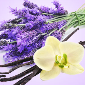 Lavender Vanilla (BBW Type) Fragrance Oil