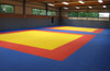 Training facility with VEIO Smooth Surface 1.5" Mats