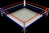 Floor Mount Boxing Ring Mock Up