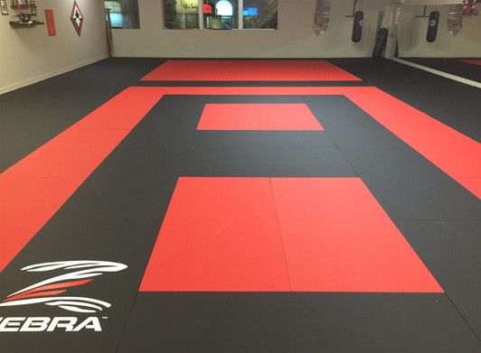 Playwell Martial Arts/MMA School, Dojo Gym Floor, Tatami Indoor Mat  Grappling Foot Socks - Black/Red - NEW, Foot Gear -  Canada