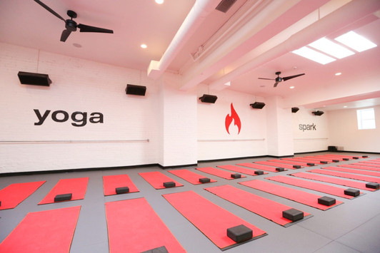 Yoga studio with Zebra 1" Yoga Tile