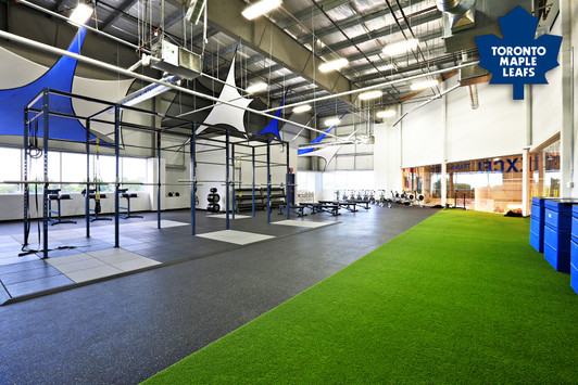 crossfit rig toronto mapleleafs