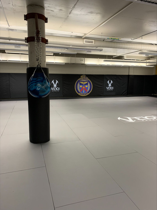 Veio Sports wall pads