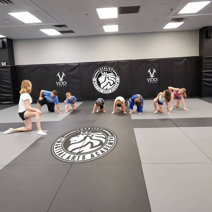 Veio Sports Wall Pad - 2' x 6'