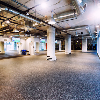 LDS Polar Series Gym Flooring Tiles