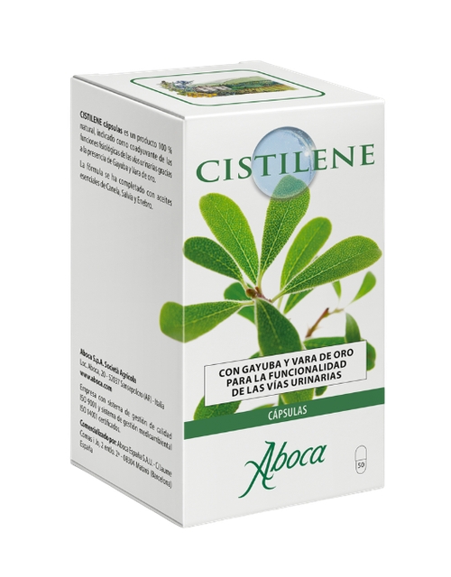 Cistilene