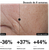 C E Ferulic