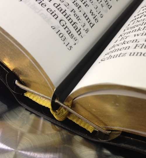 Reader Edition Science & Health Spring Belt