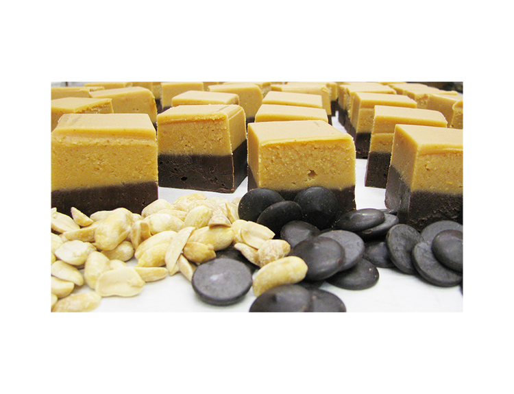 Peanut Butter Chocolate Fudge