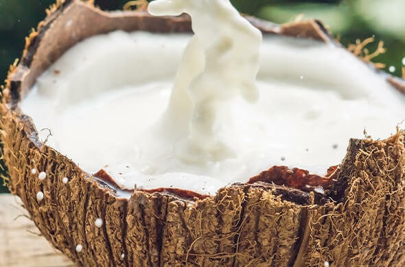 Coconut milk for your hair: Benefits, uses and tips