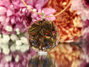 Back of I Believe in Me Green Labradorite pendant handcrafted with colorful Mindful Green tea botanicals preserved in resin.