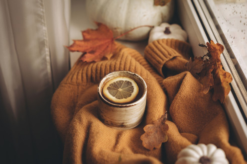 Harvesting Wisdom: The Taurus Full Moon