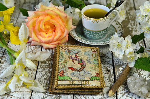 New Moon in Virgo - August 23rd