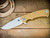 Project X-Clip Point-S45VN-Working Finish-G10