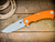 Project X-Clip Point-S45VN-Working Finish-G10