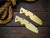CAT-3.5" Eklipse Brass Scale