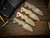 CAT-Eklipse 3.5"Titanium Scale-Milled Horse Head Logo-Stonewash Bronze