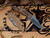 CAT-XM-18 3.5" Aggressor-Magnacut-Stonewash Bronze-G10
