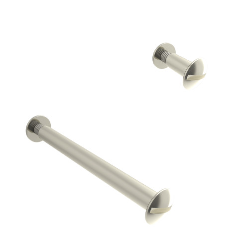 Brass Twin Slot Binding Screws - Nickel Plated - on a white background