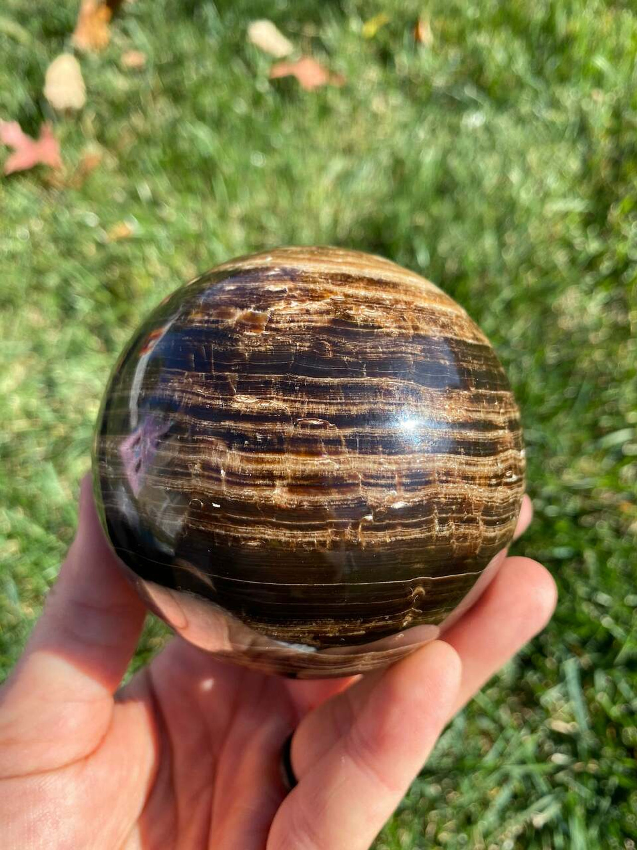 Chocolate Calcite Sphere - Polished Crystal - 18 | New Moon Beginnings