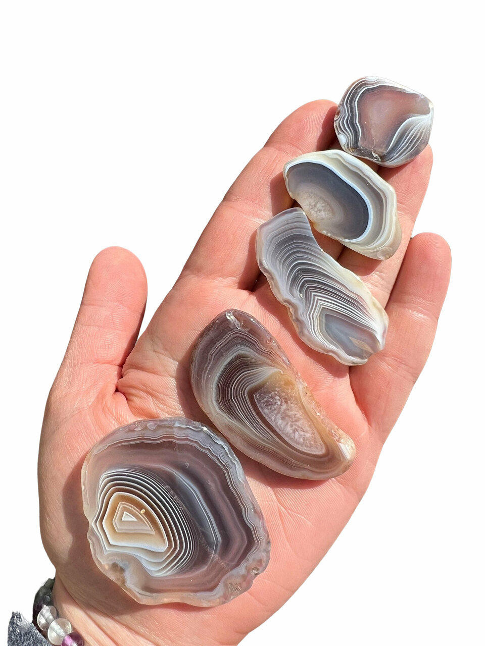 Botswana Agate Slice - Grade A | New Moon Beginnings