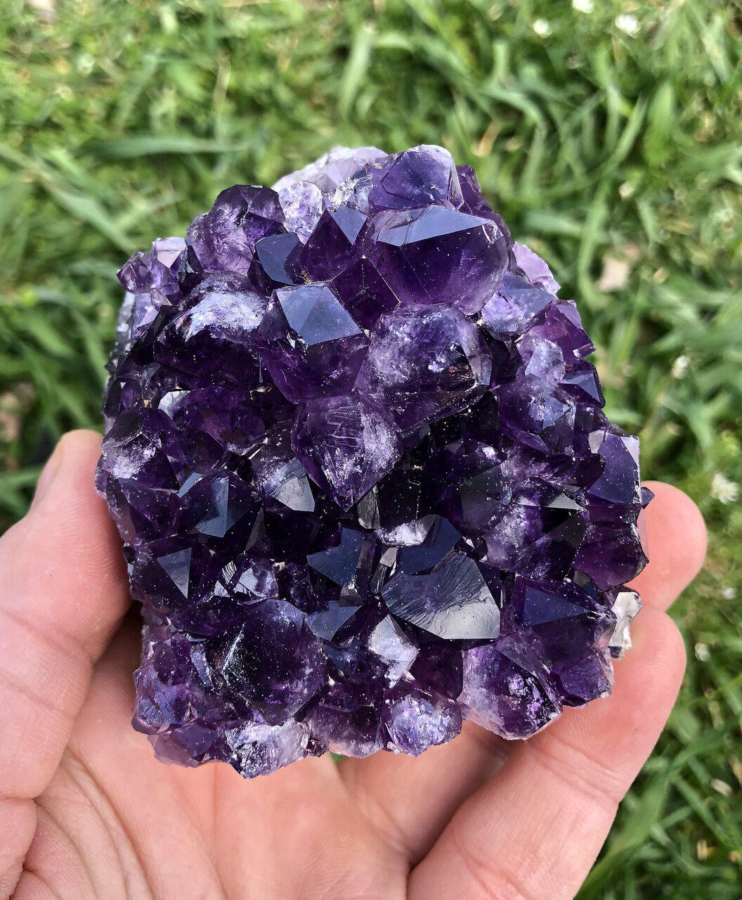 Amethyst Cluster with Iron Inclusions