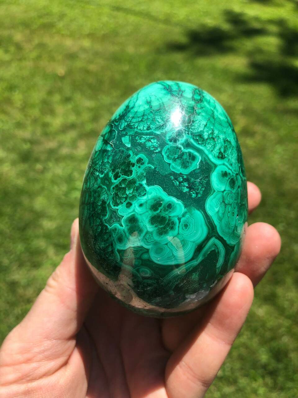Details about   AA Polished Egg with Chrysocolla and Malachite from Peru  3.9 cm  # 11231 