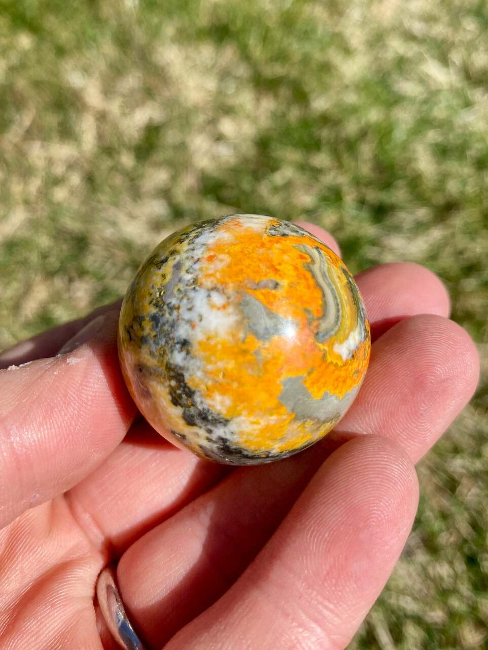 Bumble Bee Jasper Sphere - Polished Stone | New Moon Beginnings