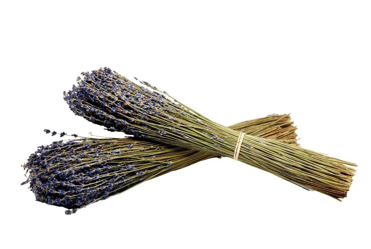 Dried Lavender Incense Bundle ~14 dried lavender bundle - lavender stick -  smoke cleansing - energy cleansing stick - dried lavender bunch