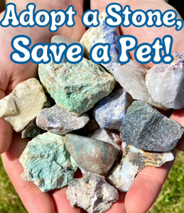 Adopt a Stone, Help a Pet! 