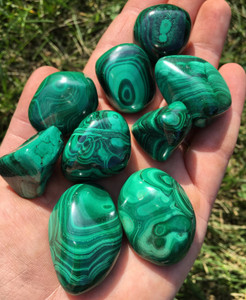 Hand holding eight polished Malachite tumbled stones with bold green bullseye and banded patterns, outdoors on grass