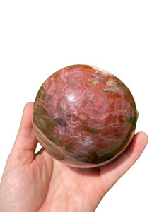 Petrified Wood Sphere - 10