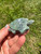 Moss Agate Turtle 