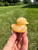 Yellow Calcite Duck 
