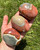 Polychrome Jasper Palm Stone 