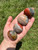 Polychrome Jasper Palm Stone 