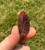 Raw Red Quartz Point 