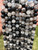 Tourmalinated Quartz Bead Strand 