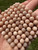 Peach Moonstone Bead Strand 