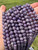 Lepidolite Bead Strand (Medium Purple) 