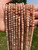 Peach Moonstone Bead Strand (Darker) 