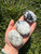 Rainbow Moonstone Palm Stone (Flashy) 